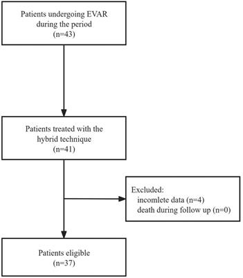 Feasibility of a modified hybrid glubran-supported single-proglide technique for access closure during endovascular aneurysm repair